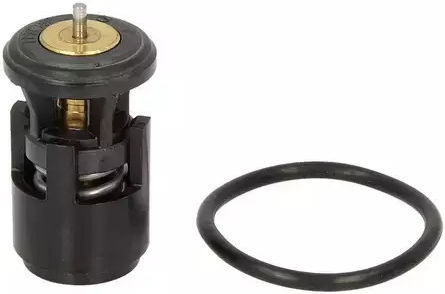 Coolant Thermostat Vw Vento 1h2 Behr Tx4187d
