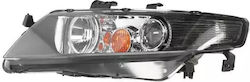Becuri auto pentru Honda Accord VII Cl Alkar 2741410