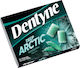Dentyne 12 Τσίχλες Deep Arctic με Γεύση Eycalyptus Χωρίς Προσθήκη Ζάχαρης 16.8gr