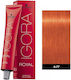 Schwarzkopf Igora Royal Hair Dye 0-77 60ml