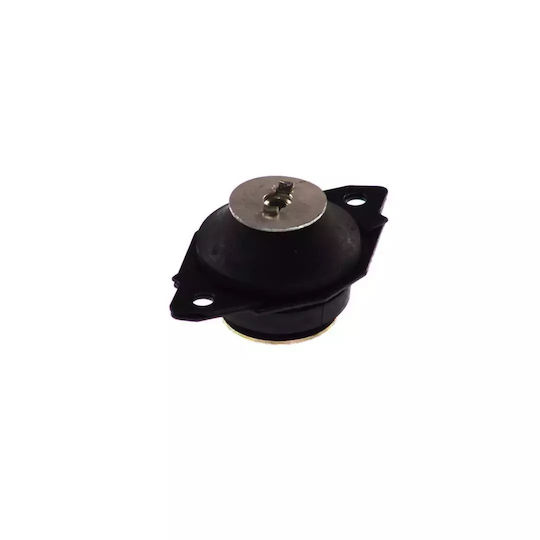 Motor Mount Support Seat Cordoba Vario 6k5 Fortune Line Fz9921