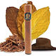 XO Havana Einweg E-Zigarette 600 Züge Havana Cigar 2ml 20mg