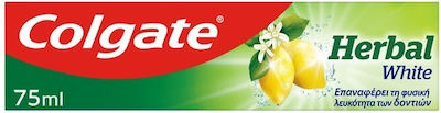 Colgate Herbal Toothpaste for Whitening 75ml