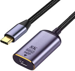 17839 USB-C Masculin În Mini DisplayPort Feminin