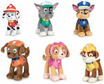 Paw Patrol Plush Paw Patrol Assorted 19 cm (Various Designs) 1pc