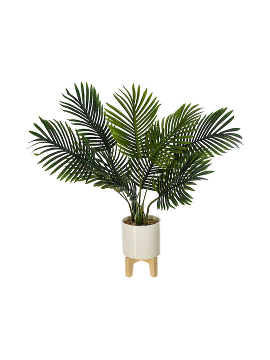 Φοίνικας σε Γλάστρα 72cm