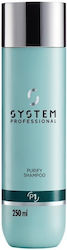 System Professional Derma Purify P1 Anti-Schupp...