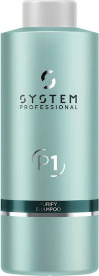System Professional Derma Purify P1 Shampoos against Dandruff for All Hair Types 1000ml