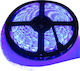Eco Light Bandă LED 12V Albastru Lumină 5m Tip SMD2835