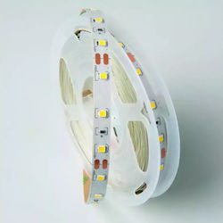 Eco Light LED Streifen Versorgung 12V Länge 5m und 60 LED pro Meter SMD2835