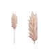 Artificial Decorative Branch Pampas Grass Ecru 86cm Marhome