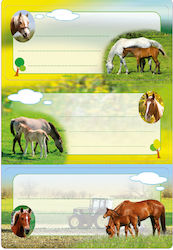 Herma Horse Блестящи Етикети За Тетрадки 7.6x3.5см 6 Бройки Herma Horse Блестящи Етикети За Тетрадки 7.6x3.5см 6 Бройки