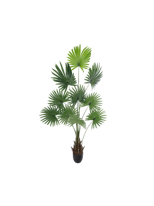 Globostar Artificial Garden Serenoa Palm Plant 20972 Decorative Phoenix Palm Plant H103 x H180cm