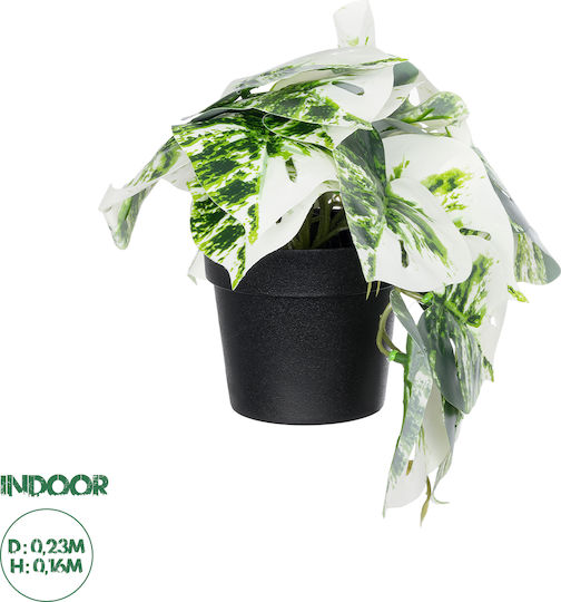 Globostar Künstliche Garten Albino Monstera Pflanze 20946 Dekorative Monstera Pflanze Φ23 X H16cm
