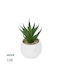 Globostar Artificial Garden Succulent Aloe Potted Plant 20993 Διακοσμητικό Φυτό Αλόη Φ8 X Υ12cm