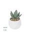 Globostar Artificial Garden Succulent Aloe Potted Plant 20999 Decorative Plant Aloe F7 X H9cm