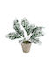 Globostar Artificial Garden White Aglaonema Potted Plant 20903 Decorative Plant White Aglaonema Φ40 X H33cm