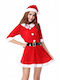 Carnival Costume Snowflower Santa