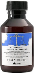 Davines Natural Tech Rebalancing Shampoo 250ml Davines Natural Tech Rebalancing Shampoo 250ml