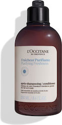 L'Occitane Haarspülungen Reinigung Frische 250ml L'Occitane Haarspülungen Reinigung Frische 250ml