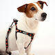 Goget Neoprene Leash with Metal Hook Clownfish ...