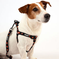 Goget Neoprene Leash with Metal Hook Clownfish ...