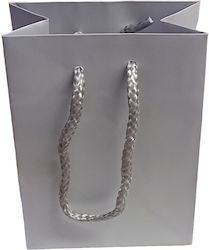 Silber Tasche