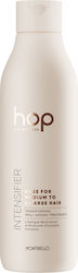 Montibello Hop Intensifier Für Anti-Frizz 1000ml Montibello Hop Intensifier Für Anti-Frizz 1000ml