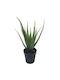 Изкуствено растение в саксия Алое Green 61см Marhome
