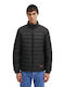 Brenti2431 Winter Jacket Black