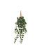 Decorative Artificial Plant Devil's Ivy Green 70cm Iliadis