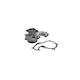 Water Pump Ford Fiesta Iv Ja Jb Airtex 1619