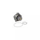 Water Pump Chrysler Voyager Iv Rg Rs Airtex 1970