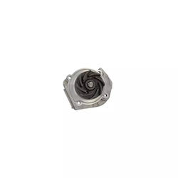 Fiat Punto 188 Water Pump Airtex 1616