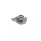 Water Pump Audi A8 4d2 4d8 Airtex 1596