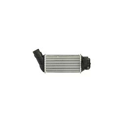 Intercooler Peugeot 5008 Ava Quality Cooling Pe4341