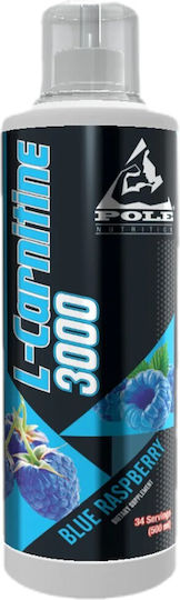 Pole Nutrition L-Carnitine 3000 с Карнитин и Вкус Blue Raspberry 500мл