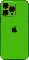 Back Protection Membrane Green Matte