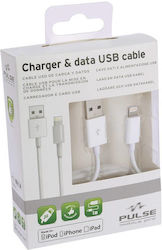 Pulse USB-A to Lightning Cable 1m (cr0031440)