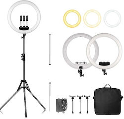 Ring Ring Light 45.72cm 6151112759707