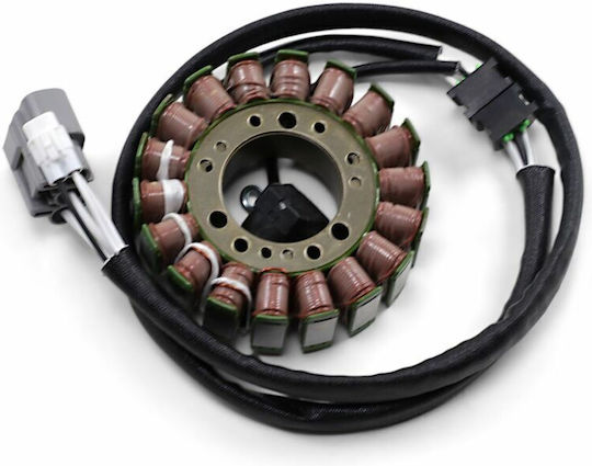 Ricks Motorsport Electric Βολάν Μοτοσυκλέτας 24-400