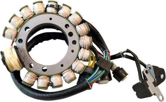 Ricks Motorsport Electric Volan Motorrad 21-933