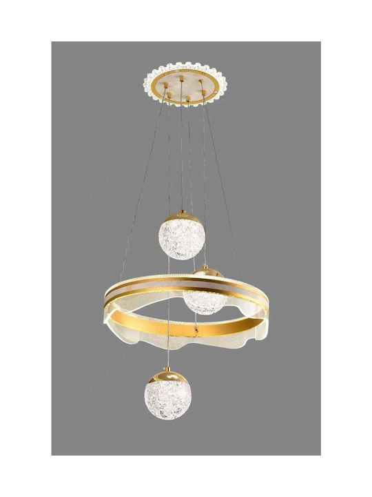 2143 Pendant Light Gold LED with Warm to Cool White Light 50cm