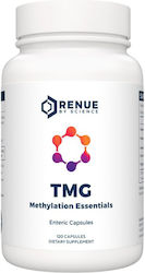 Renue By Science Tmg Methylation Essentials 120 капсули Renue By Science Tmg Methylation Essentials 120 капсули