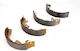 Set Brake Pads Ford Focus Daw Dbw Brembo S24531