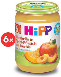 Hipp Babykost-Glas für 6m+ 190gr