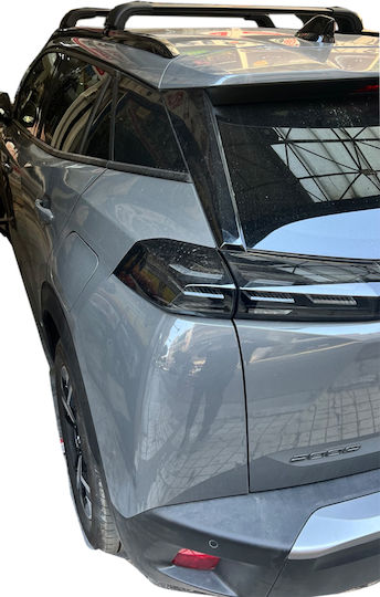 Nordrive Багажници за покрив Алуминий за Peugeot 2008 Citroen CX 2019+ (Комплект с крака)