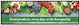 Samsung 37" Commercial Display