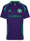 Panathinaikos 202425 Third Jersey Ανδρική Φανέλα Εμφάνισης Ποδοσφαίρου