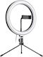 Apexel Ring Light 26cm 4118554773588